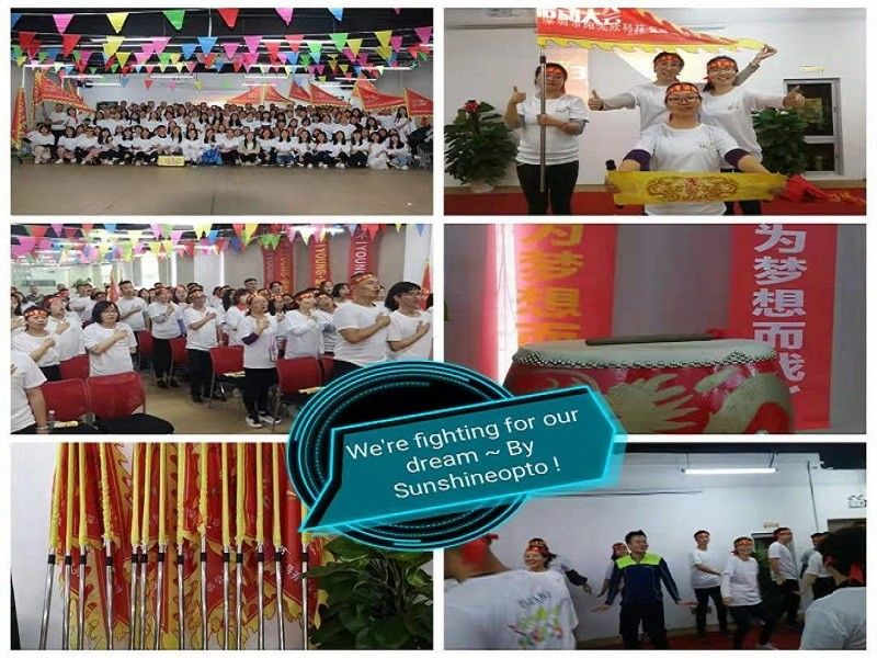 CHINA Sunshine Opto-electronics Enterprise Co.,ltd Unternehmensprofil