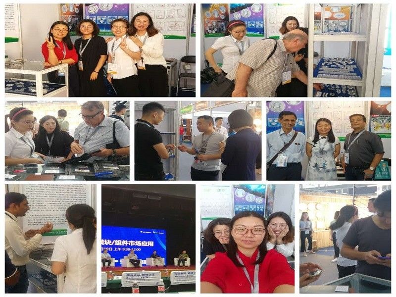 CHINA Sunshine Opto-electronics Enterprise Co.,ltd Unternehmensprofil