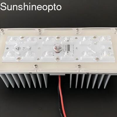 12 LEDs 5050 SMD LED-Lichtmodul mit 173 mm 145 x 70 Grad Abstrahlwinkelobjektiv für Straßenbeleuchtung