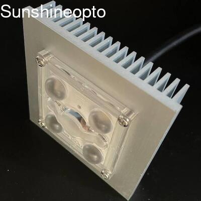Wasserdichtes 5050-LED-Straßenlaternenmodul mit 150×75-Grad-PC-Linse Typ II-Straßenbeleuchtungslösung
